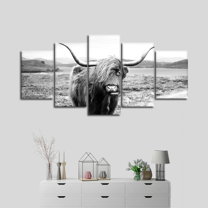 Highland Bull Wall Art