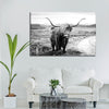 Highland Bull Wall Art