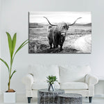 Highland Bull Wall Art