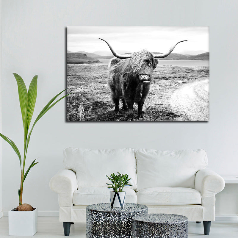 Highland Bull Wall Art