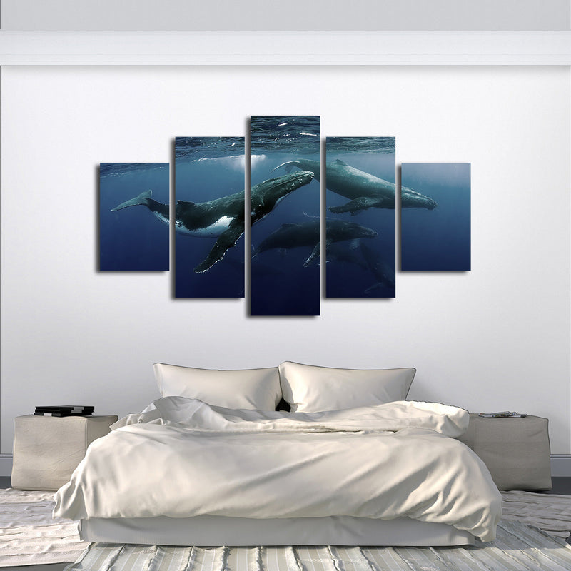 Humpback Whales Wall Art