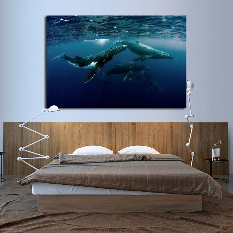 Humpback Whales Wall Art