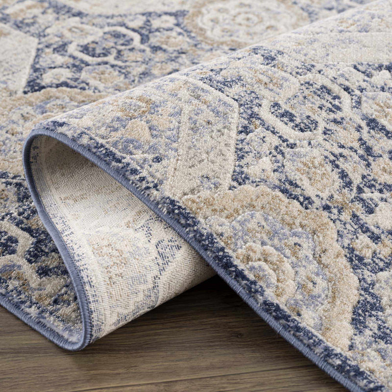 Parkerfield Blue Area Rug