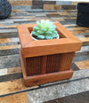 Succulents Redwood Planter Box