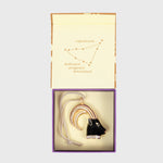 Capricorn hanging ornament
