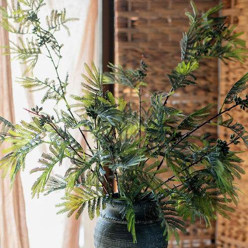 Artificial Faux Acacia Plant Stem 47" Tall