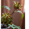 Artificial Artichoke Flower Stem in Red Green 23" Tall