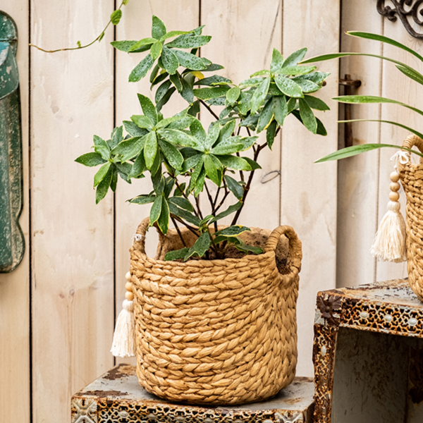 Bag with Tassel Cement Planter