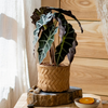 Bamboo Looking Cement Planter