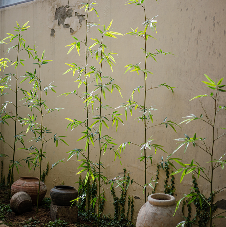 Artificial Bamboo Stem Faux Screen Plant Set of 10