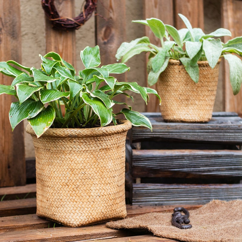 Basket Style Concrete Planter