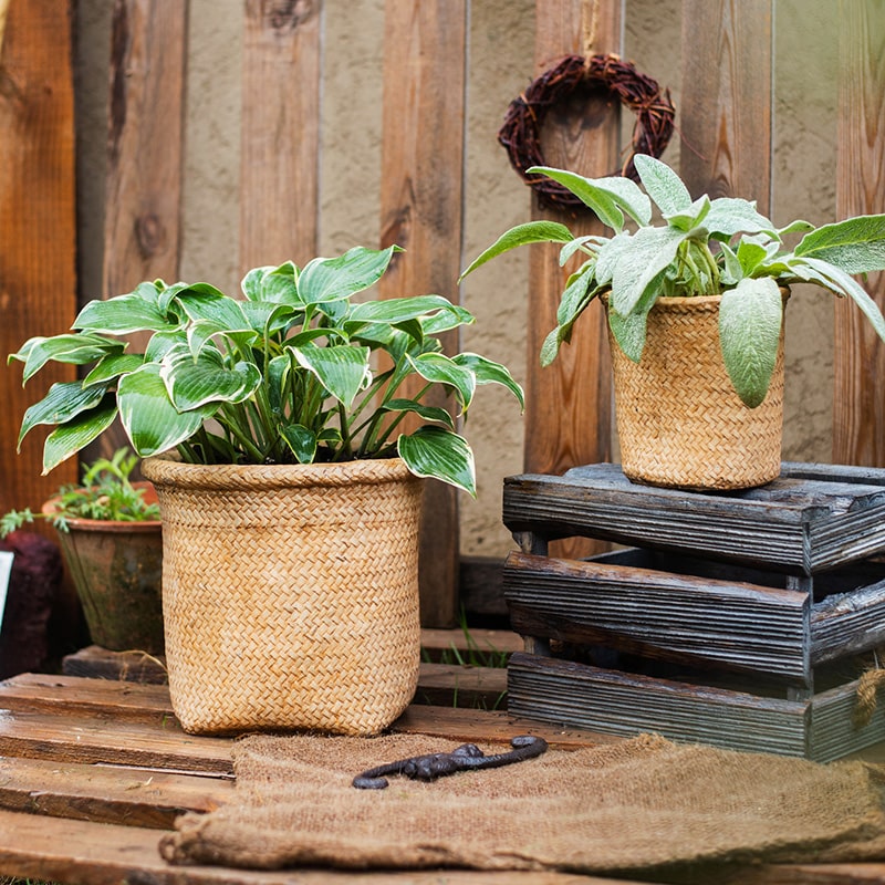 Basket Style Concrete Planter