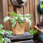 Basket Style Concrete Planter