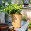 Basket Style Concrete Planter