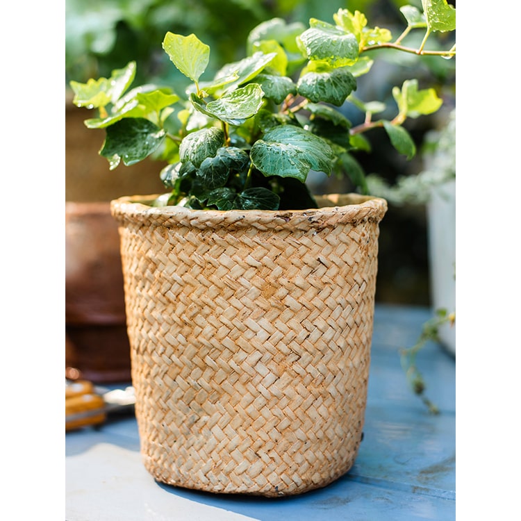 Basket Style Concrete Planter