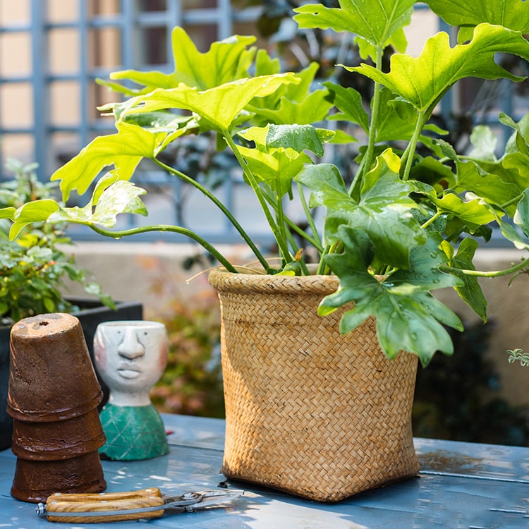 Basket Style Concrete Planter