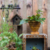 Birch Wood Decorative Bird House