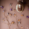 Butterfly Clips Randomly Picked Set of 5