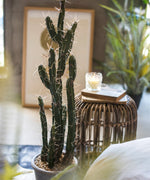 Artificial Plant Chihuahua Desert Cactus