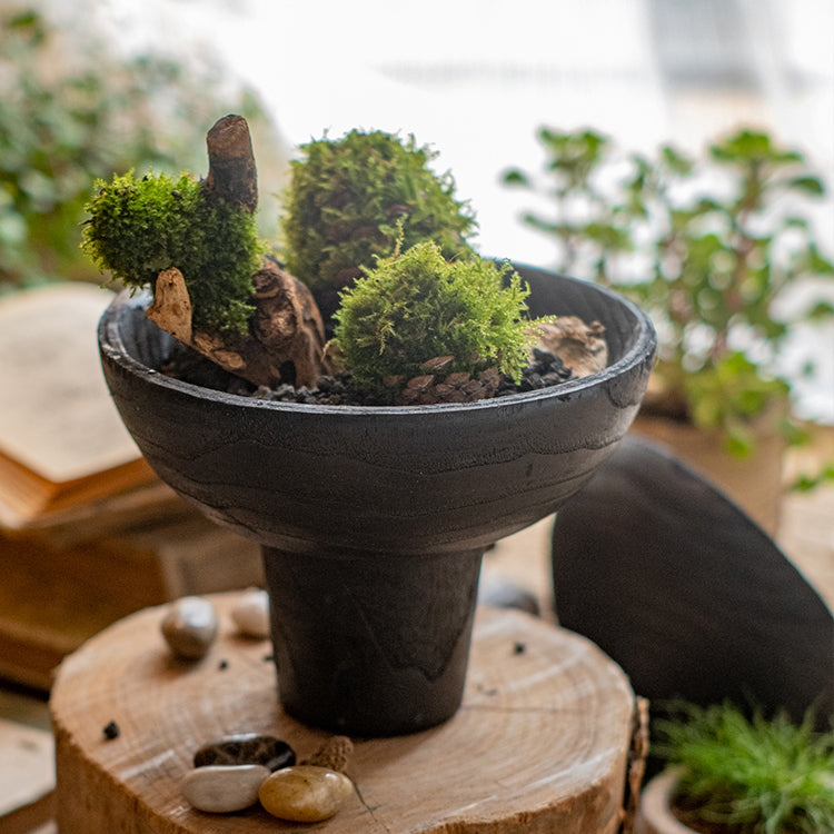 Carbonized Wood Footed Bowl