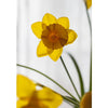 Artificial Silk Yellow Faux Daffodil Flower Stem 19" Tall