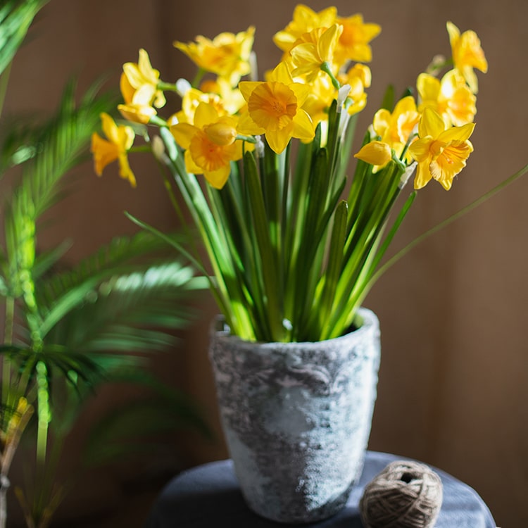 Artificial Silk Yellow Faux Daffodil Flower Stem 19" Tall