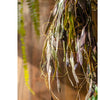 Artificial Faux Hanging Aloe Vera Plant in Pot