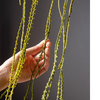 Artificial Vine Hanging Thin Succulent Stem