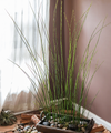 Artificial Faux Rough Horsetail Plant Long Stem 54" Tall