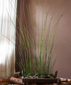 Artificial Faux Rough Horsetail Plant Long Stem 54" Tall