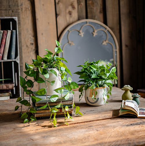 Artificial Devil's Ivy Plant in White Pot