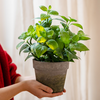 Artificial Potted Plant Mint Plant