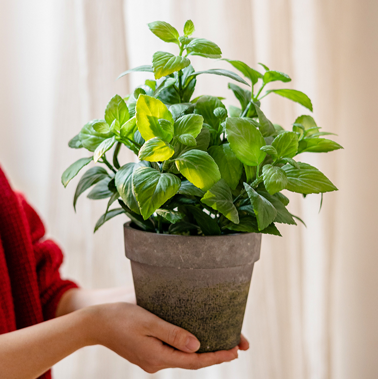 Artificial Potted Plant Mint Plant