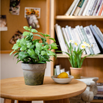 Artificial Potted Plant Mint Plant