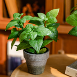 Artificial Potted Plant Mint Plant