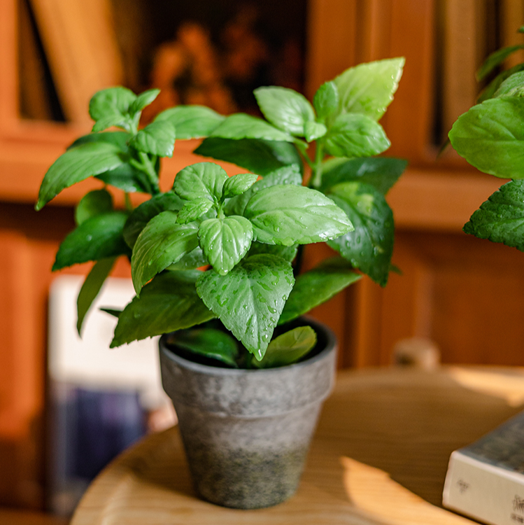 Artificial Potted Plant Mint Plant