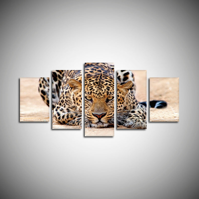 Watchful Jaguar Wall Art