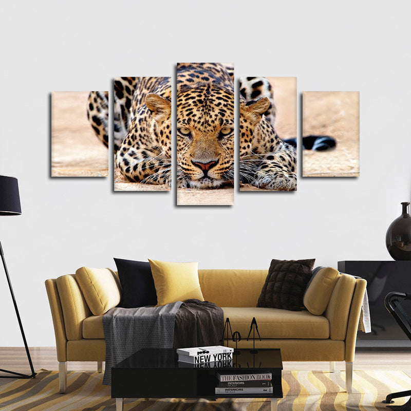 Watchful Jaguar Wall Art