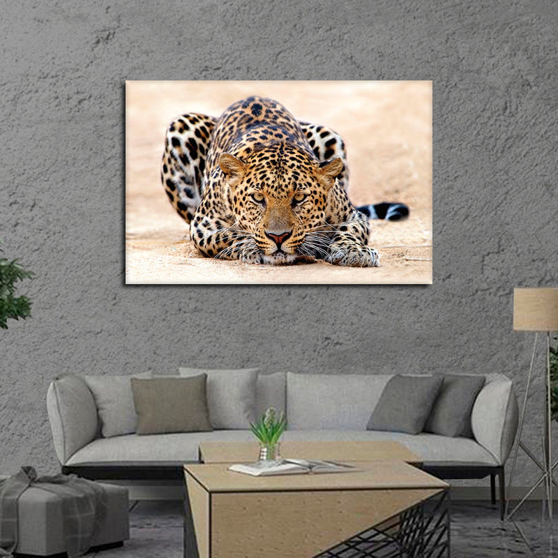 Watchful Jaguar Wall Art