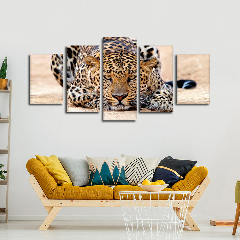 Watchful Jaguar Wall Art