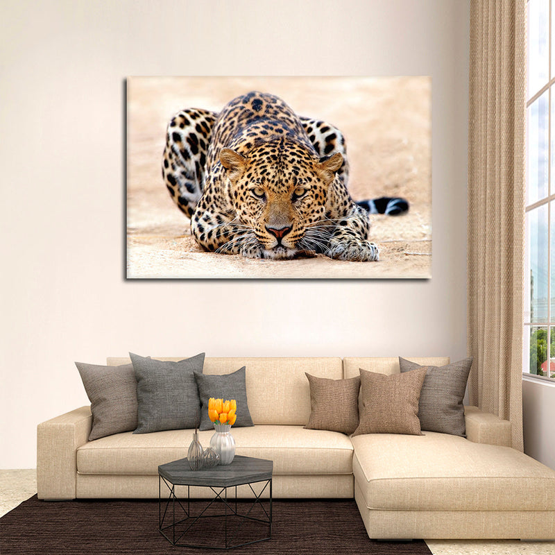 Watchful Jaguar Wall Art