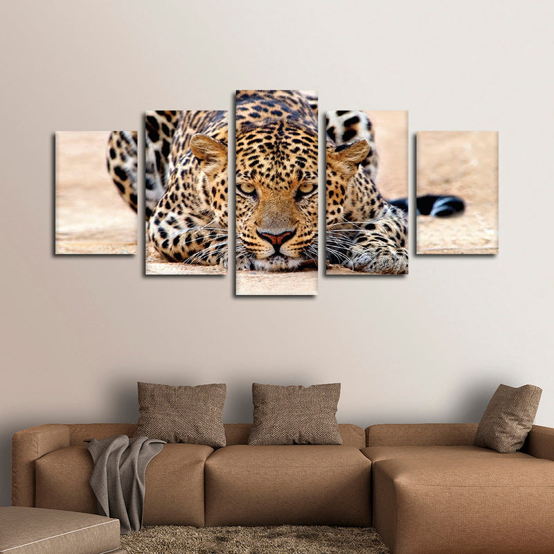 Watchful Jaguar Wall Art