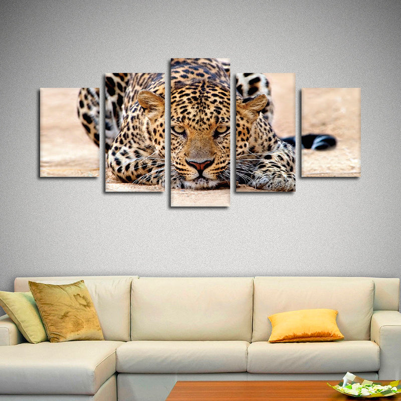 Watchful Jaguar Wall Art