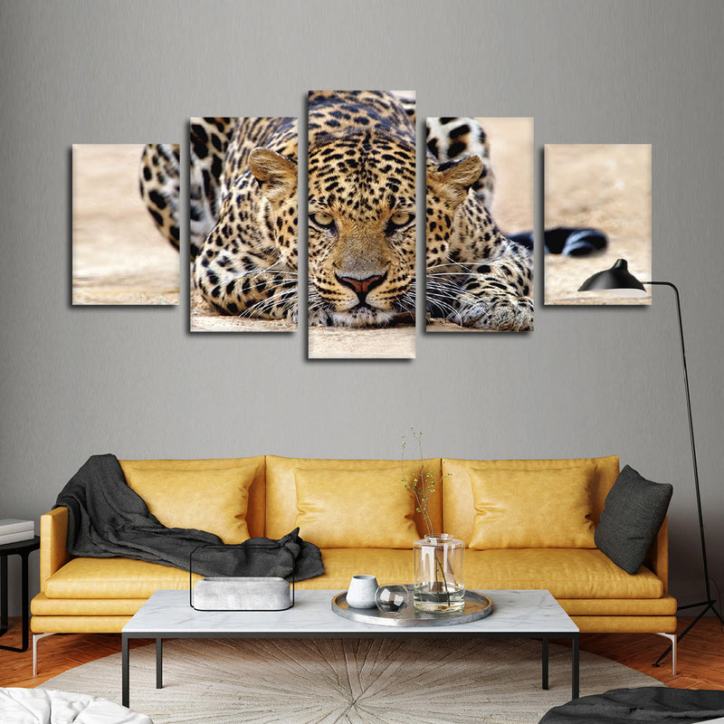 Watchful Jaguar Wall Art