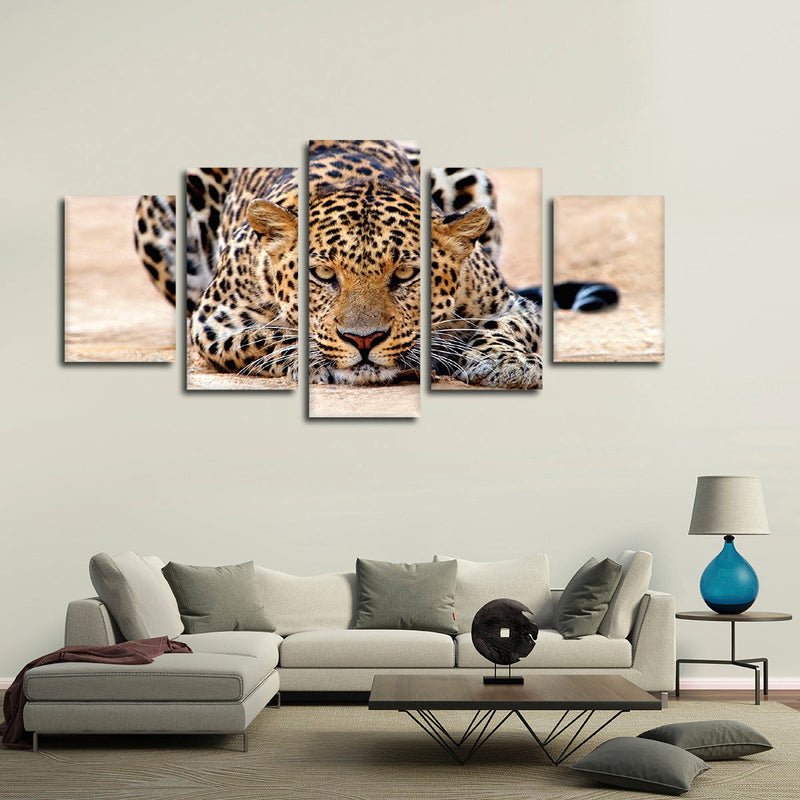 Watchful Jaguar Wall Art