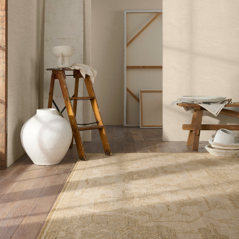 Onessa Danet Hand-Knotted Rug