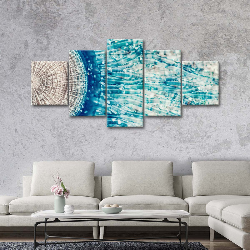 Jellyfish Details Wall Art