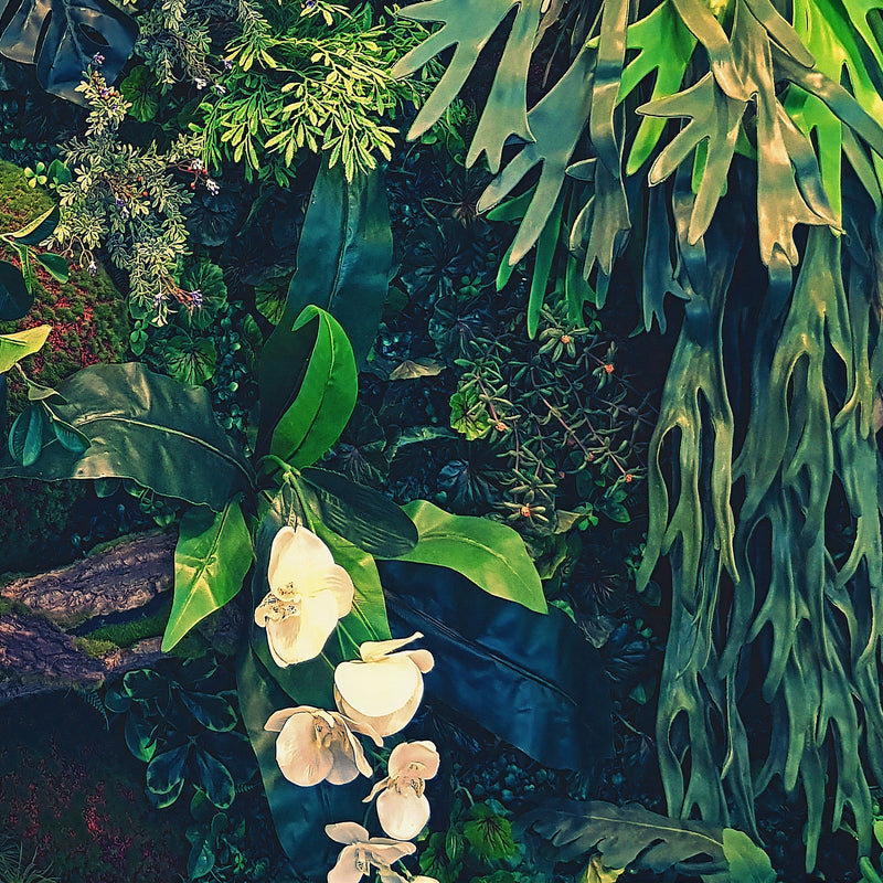 Jungle Wallpaper, Forest Greenery Botanical Wall Mural. #6741