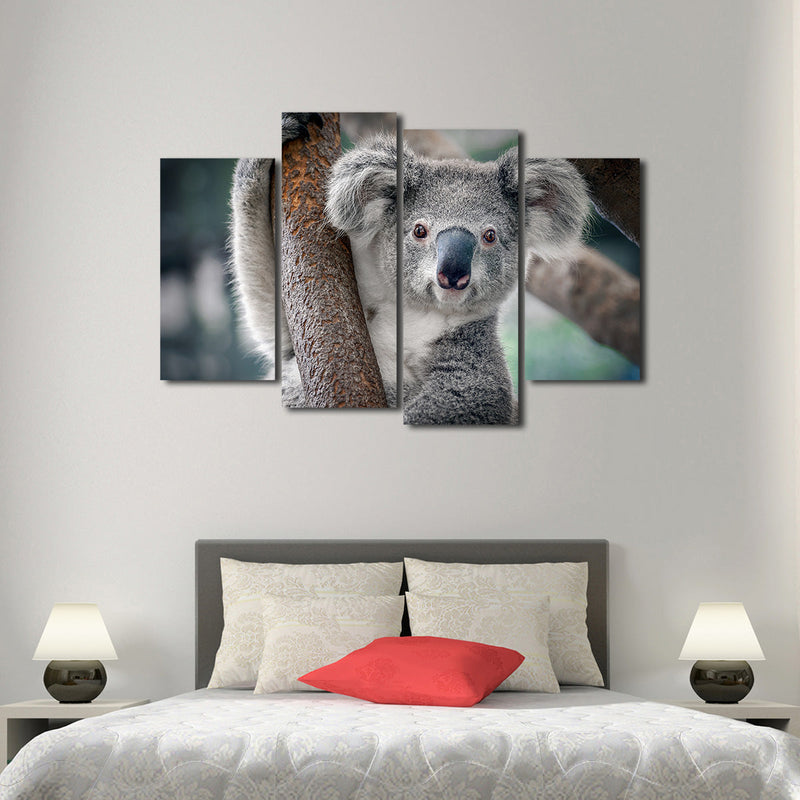 Happy Koala Wall Art