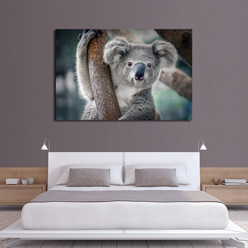 Happy Koala Wall Art